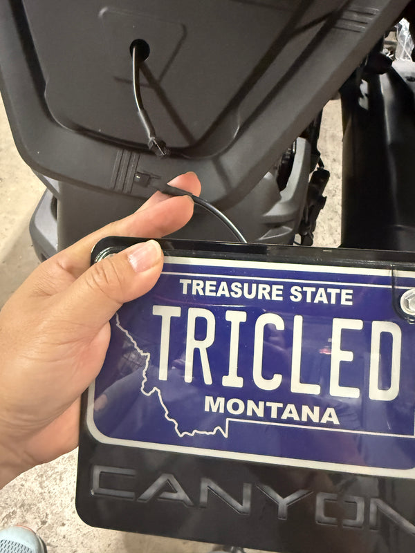 Canyon license plate LED