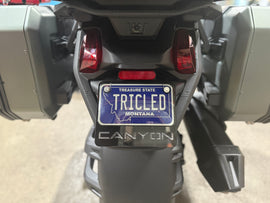 Canyon License Plate LED - 0