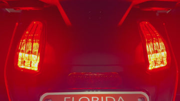 Canyon Brake Flasher modulator