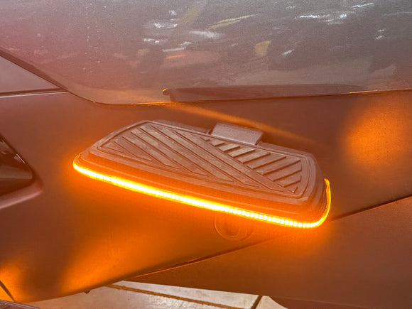 RT 2020+ Dual-Color Driver Floorboards LED kit (w. Optional Passenger Floorboard)