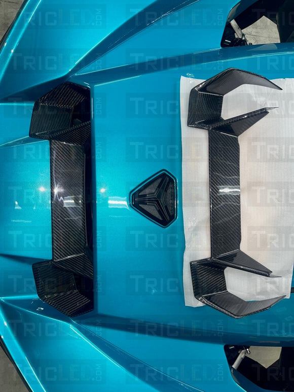 Exclusive - Very Limited 2022 Carbon Fiber Nose
