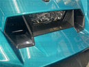 Exclusive - Very Limited 2022 Carbon Fiber Nose